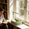 Generous Size Washing Bowl For Pet Birds With 1.1 Wooden Perches And Leak Resistant Design