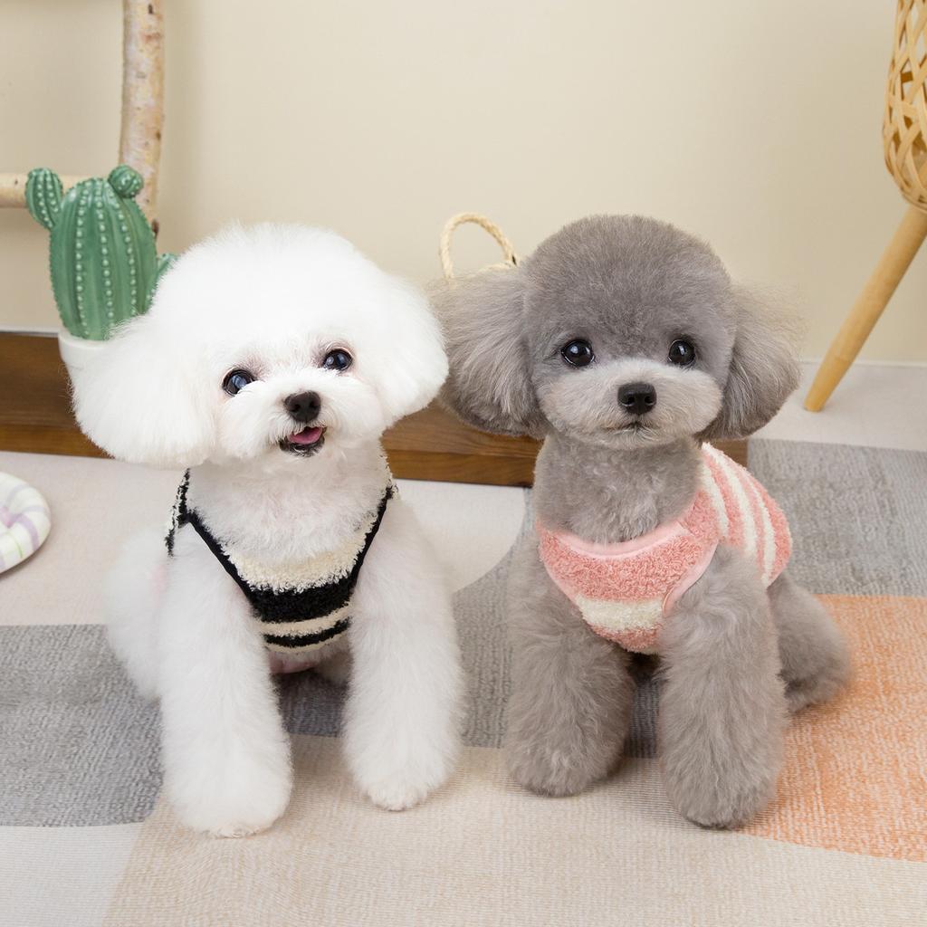 Dog Clothes Pet Clothing Corgi Pomeranian Bichon Small Dog Cat Autumn and Winter Warm 24 Large Striped Velvet Vest