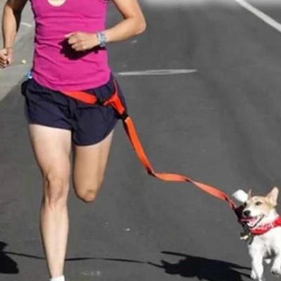 Walking Collar Dog Running Lead Leash Waist Belt Pet Leashes