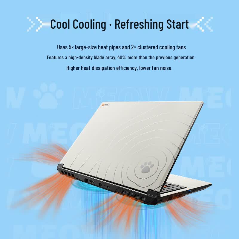 COLORFIRE MEOW R16 Series 16-inch Ryzen Gaming Laptop (CN version)