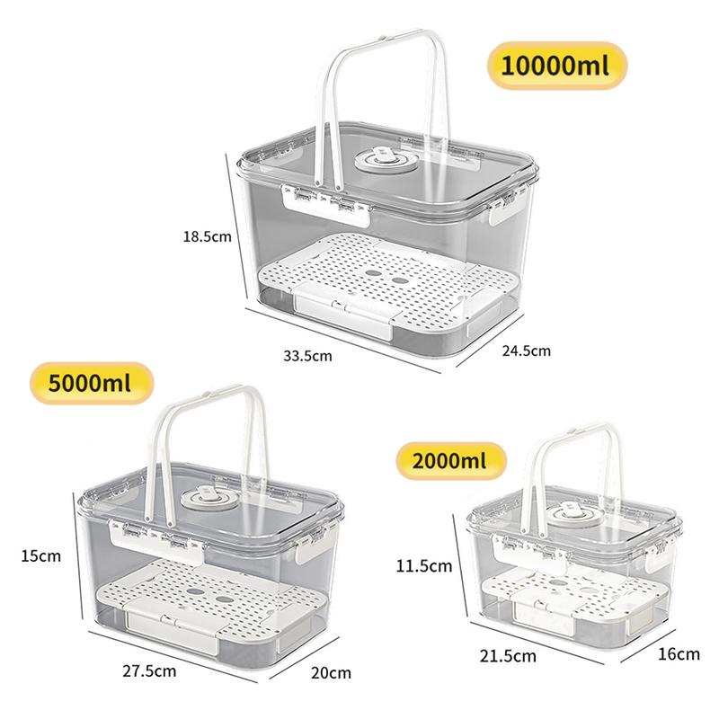 Picnic Box Clear Food Storage with Drain Plate for Easy Outdoor Use