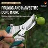 Stainless Steel Pruning Shears Non-Slip Handle Branch Pruner Garden Scissors  Tree Branch Pruning