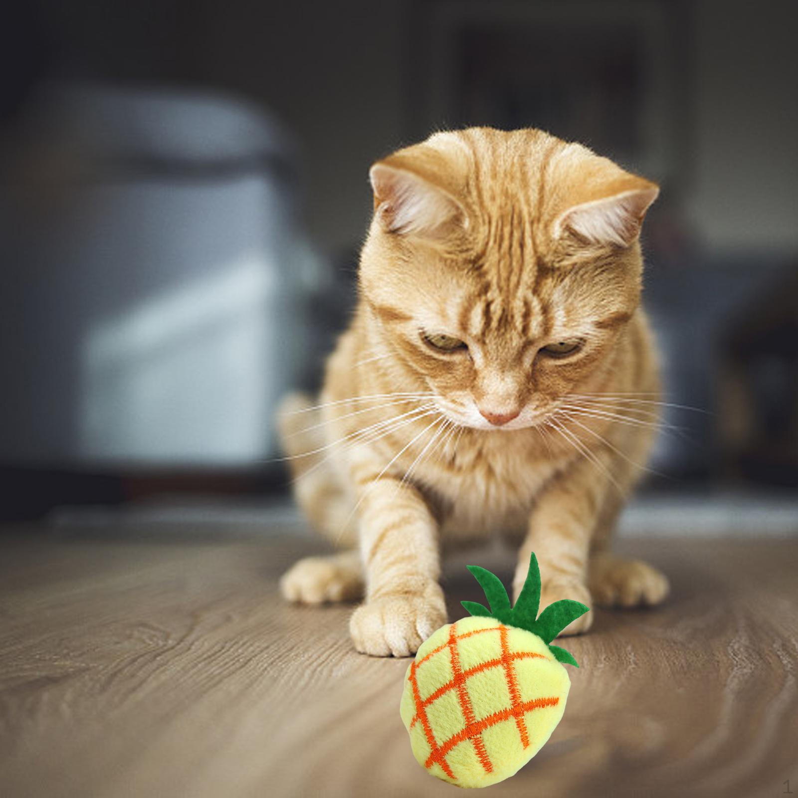 

Cartoon Catnip Toys Interactive Toy Kitten Entertaining Cat Pillow Durable Soft Pineapple