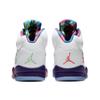 Air Jordan 5 Retro 'Alternate Bel Air' Jordan DB3335-100