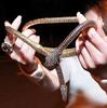 Versatile Gothic Rhinestone Crystal Snake Necklace