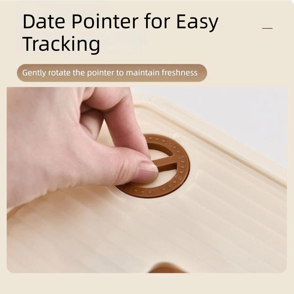 Fresh Keeping Freezer Box Large Capacity Wontons Box Food Grade Dumpling Storage Box  Home Kitchen