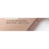 Chiseoul - Triangle Concealer Brush