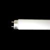 Becuri electrice – Becuri economice și fluoriscente