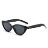 Fashion Hip-hop Small Cat Eye Sunglasses Fashion Women Eyeglasses with Retro Style Shades Glasses