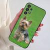 Yorkshire Terrier Dog Phone Case for Samsung Galaxy A73,23,53,33,14,24,13,72,22,52,32,54,A34 Soft Cover