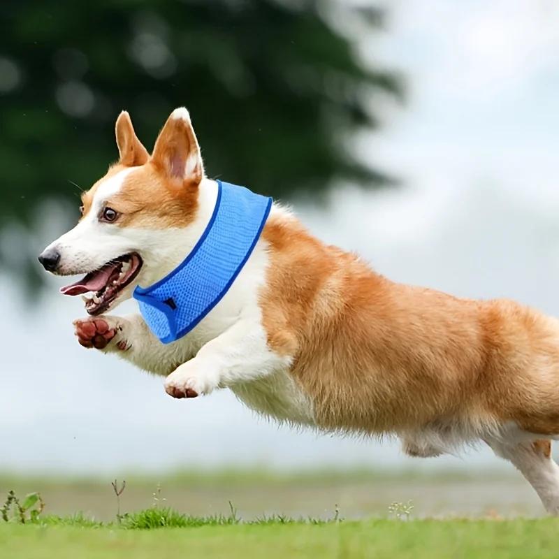 1pc Pet Summer Cooling Scarf, Cool Collar, Suitable for All Breeds In 3 Sizes, Adjustable Fit, Essential for Outdoor Activities