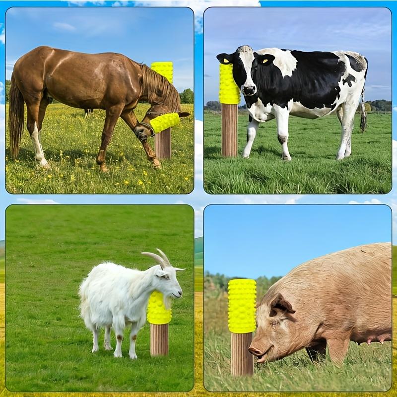 Horse Scratching Pad Set - Integrated Livestock Scratching & Massage Solution, Economical DIY Horse Scratching Post