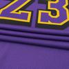 Nike LeBron James Los Angeles Lakers 2024/25 City Edition Men's Nike Dri FIT Adv Nba Authentic Jersey FQ4469-504