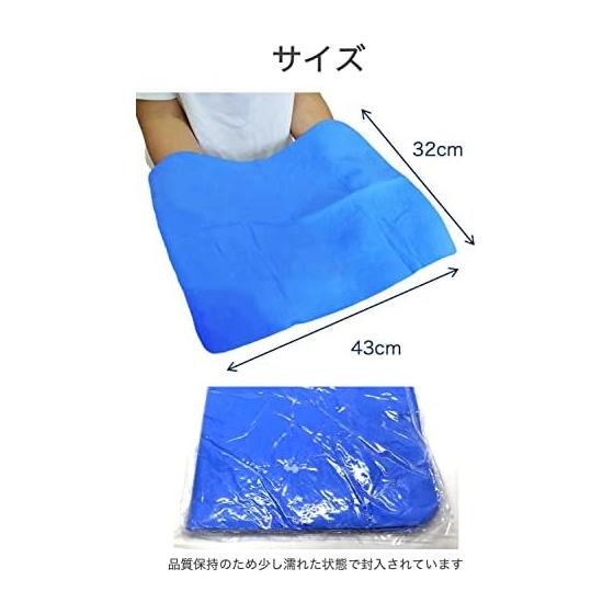 wumio Chamois Towel, Medium Size, Blue, 1 Piece, 43x32cm, Reusable Swim Towel, Sweat, Water Drops, Quick Drying, Absorbent, Back, Durable, Swimming,
