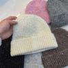 Simple Wool-blend Knitted Wool Hat Women's Fashionable Silver Sequined Ear Protectors Warm Cold Hat