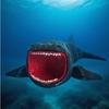 New In Stock 3D Printing Under Sea Eater Bloop Gran Maja Action Figure Model Toy Doll Kids Birthday Present Gift
