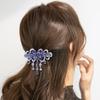 Grampo de Cabelo Estilo Coreano Acabamento Fino Acessório de Cabeça Brilhante Strass Borla Feminino Presilha de Cabelo Primavera Acessórios de Penteado