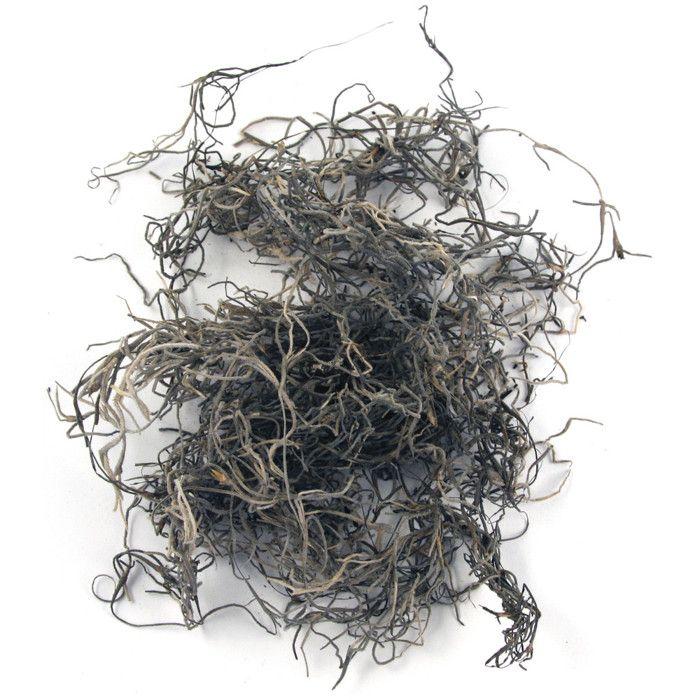 Jungle Mousse Nature 20 G