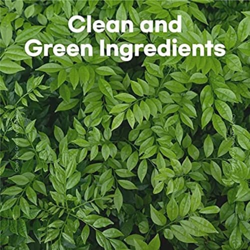 skybottle Perfumed Hand Cream, Lasting Fragrance, Moisturizing, 1.7 Fl. Oz (White Rain(Tube Rose))