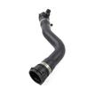 A03E-17127596837 Engine Cooling Hoses Upper Radiator Hose Water Pipe For BMW F20 F21 F22 F23 F30 F31 F32 F33 F34 F36 F82 F83