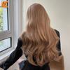 Oumeiqi Liu Hailong Curly Hair Matte High Temperature Silk Chemical Fiber Head Cover Hair Wigs
