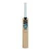 Gunn And Moore Kashmir Willow Cricket Bat