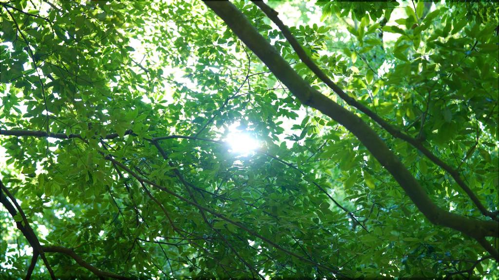 Craft Onsen-jp YUGAWARA (300ml)