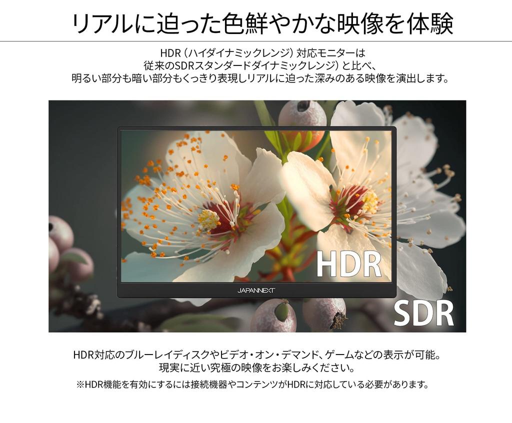 JAPANNEXT calowy monitor mobilny panel IPS rozdzielczość Full HD 1920x1080 z inteligentną obudową PC 17.3 (Zgodność z typem C/MAC/wbudowany głośnik/powłoka antyodblaskowa)