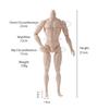 31cm Joint Movable Male Doll Body Toy for Children Diy 1/6 MJD Strong Man Doll's Accessories for Dress Up