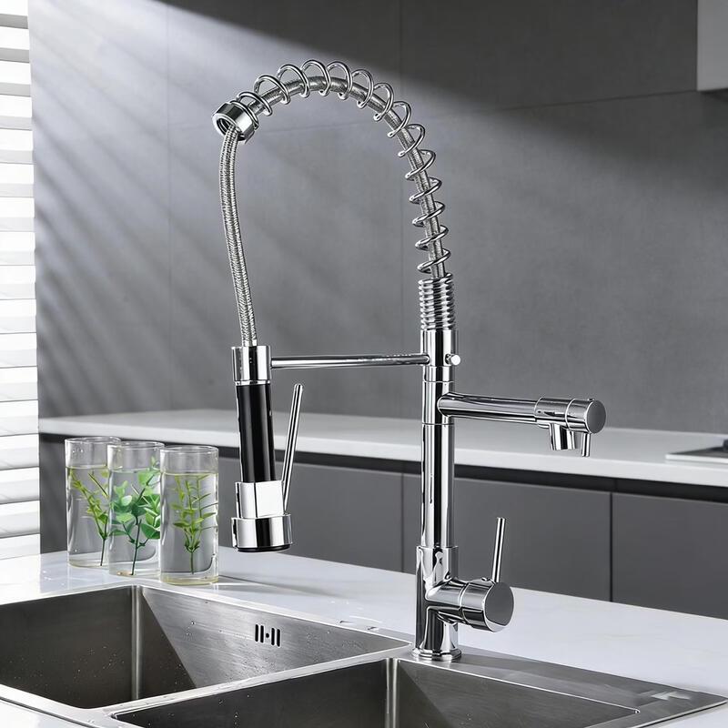 TLXT Kitchen Spring Pull-Out Faucet