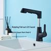 Yi Pan Retractable Liftable Hot & Cold Basin Faucet