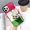 Tajikistan Flag Mobile Phone Cases Cover For iPhone 17 Air 16 15 14 12 13 11 Pro MAX Apple Plus Coque