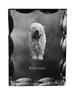 Komondor, Hungarian Sheepdog – Crystal with a Picture of a Dog, Glass Statuette with a Picture |