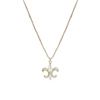Necklace Women's Collarbone Chain Simple and Fashionable Versatile Light Luxury High-end Pendant Necklace