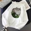 Cute Watermelon Cat Silly Cat Meme Printed Hoodies 90s Casual Autumn Winter Graphic Y2k Hooded Women's Gothic Streetwear Clothes