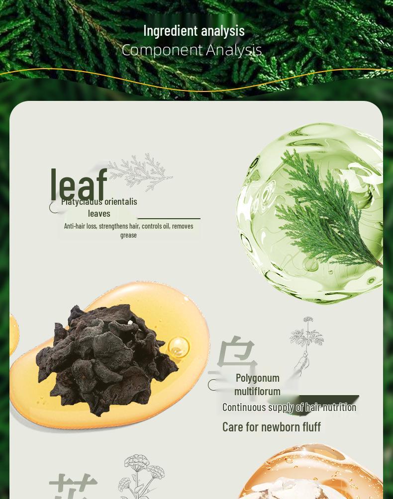 Natural Herbal Shampoo Soap with Oriental Arborvitae & Polygonum Multiflorum for Fluffy, Nourishing Hair Care