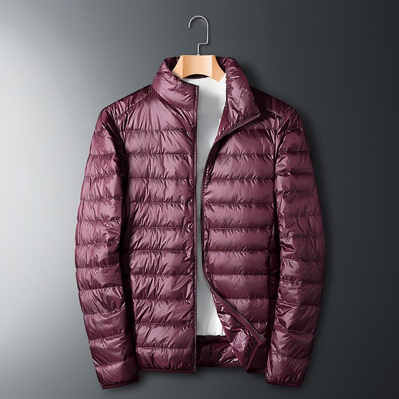 Men's Lightweight Short Down Jacket: Winter Hooded Outerwear with Stand Collar