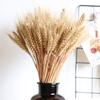 Straw Dried Flower Home DIY Decoration