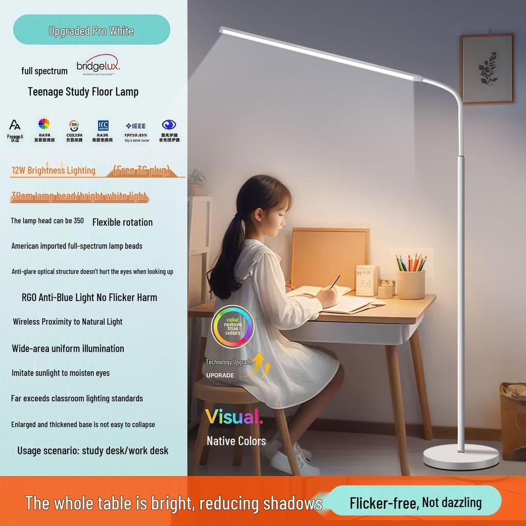 LED Floor Lamp: Study & Bedroom Reading Light for Students & Living Rooms