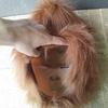 soulman/Shining Black Wukong Headgear Halloween Horror Mask Monkey King from the Journey To the West Character Mythology