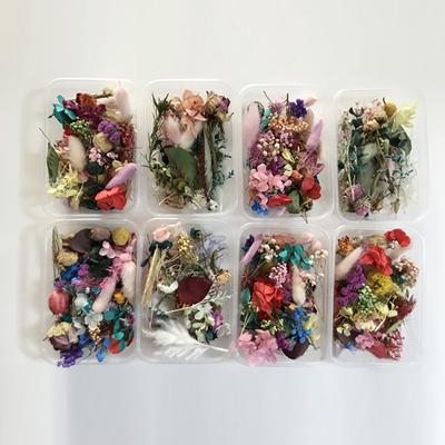1 krabička Skutečné sušené květinové suché rostliny pro aromaterapii Přívěsek z epoxidové pryskyřice na výrobu DIY