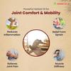 Joint Oil for Knee, Back, Shoulder & Muscle Stiffness, Fast-Absorbing, Non-Greasy Formula - 100ml (Pack of 1)