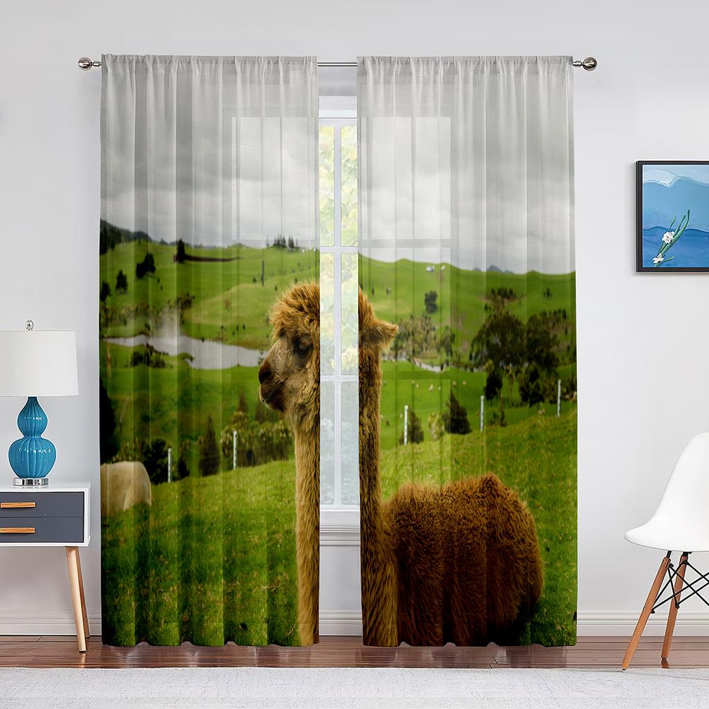 Cute Llama Alpaca Funny Animal Sheer Curtain for Living Room Voile Window Blinds Bedroom Tulle Drape Kitchen Curtains Decoration