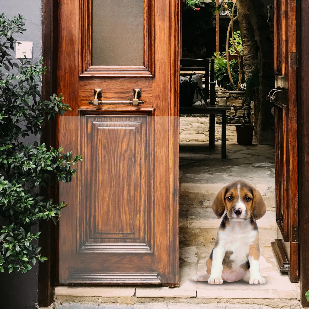 2Pcs Door Anti-scratch Pet Shield Pvc Scratching Patch Dog Sticker Protective Case Furniture Protector Durable Clear Dog