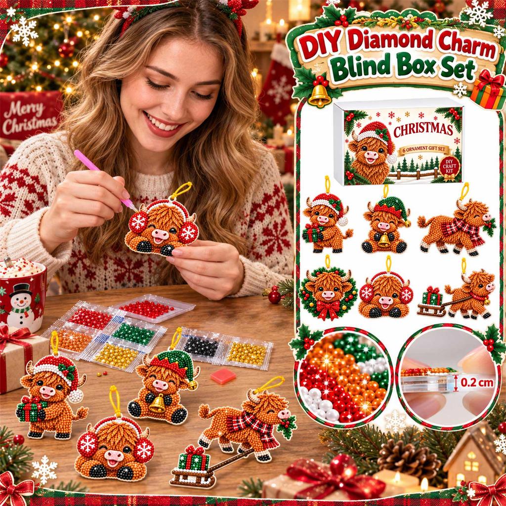 Christmas Ornaments Kit, 6 Pack Acrylic 2D Flat Pendant DIY Set, Box for Christmas Decoration