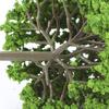 33pcs Mini Plastic Green Trees Scale Architectural Models Train Railways Landscape Scenery Layout Garden Decoration Tree Toys