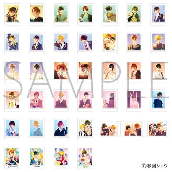 

Sasaki and Miyano Pashakore 10-pack box