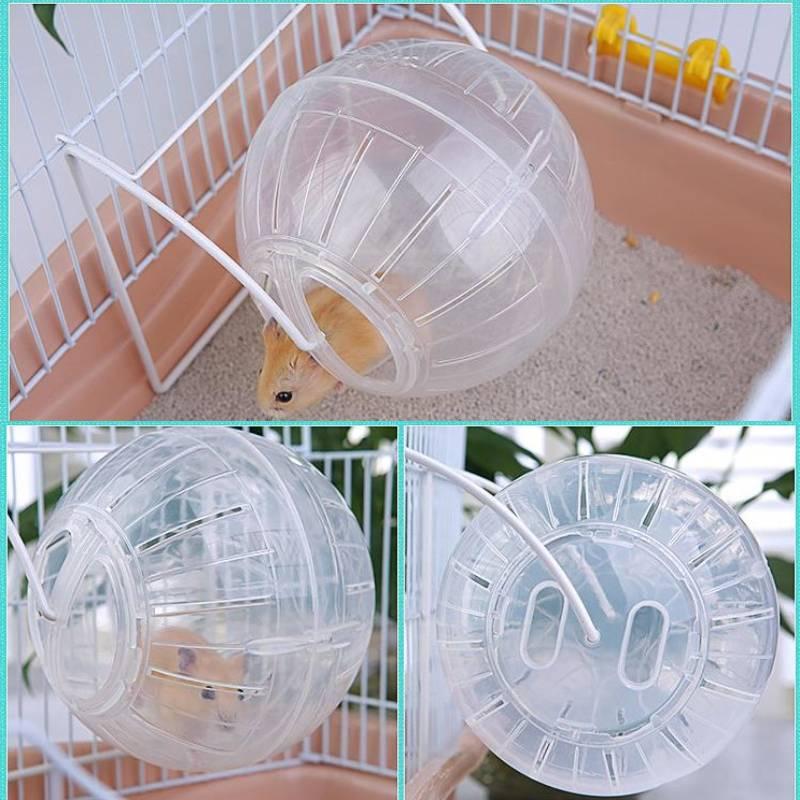 Giocattolo Fitness Colorato per Criceti Sfera Trasparente in Plastica per Roditori per Correre ed Esercizio