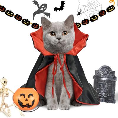 Kedi – Kediler için giyim