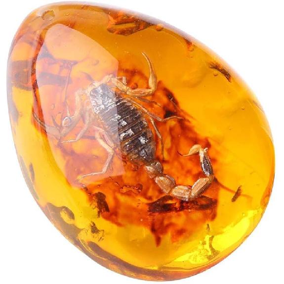Queenbox Resin Amber Insect Pendant Butterfly Fossil Samples Stones Crystal Home Decorations and Jewelry Making